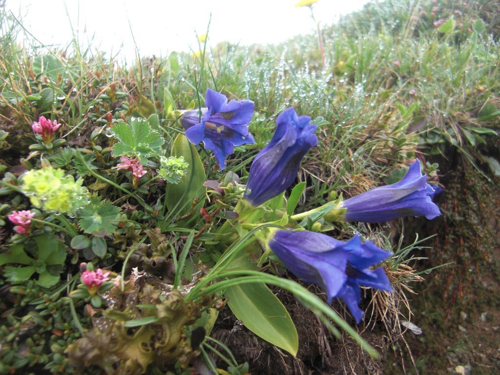 Ruhige Wohnung Mit Schoenem Eigengarten In Seeboden Am Millstaettersee Exterior photo