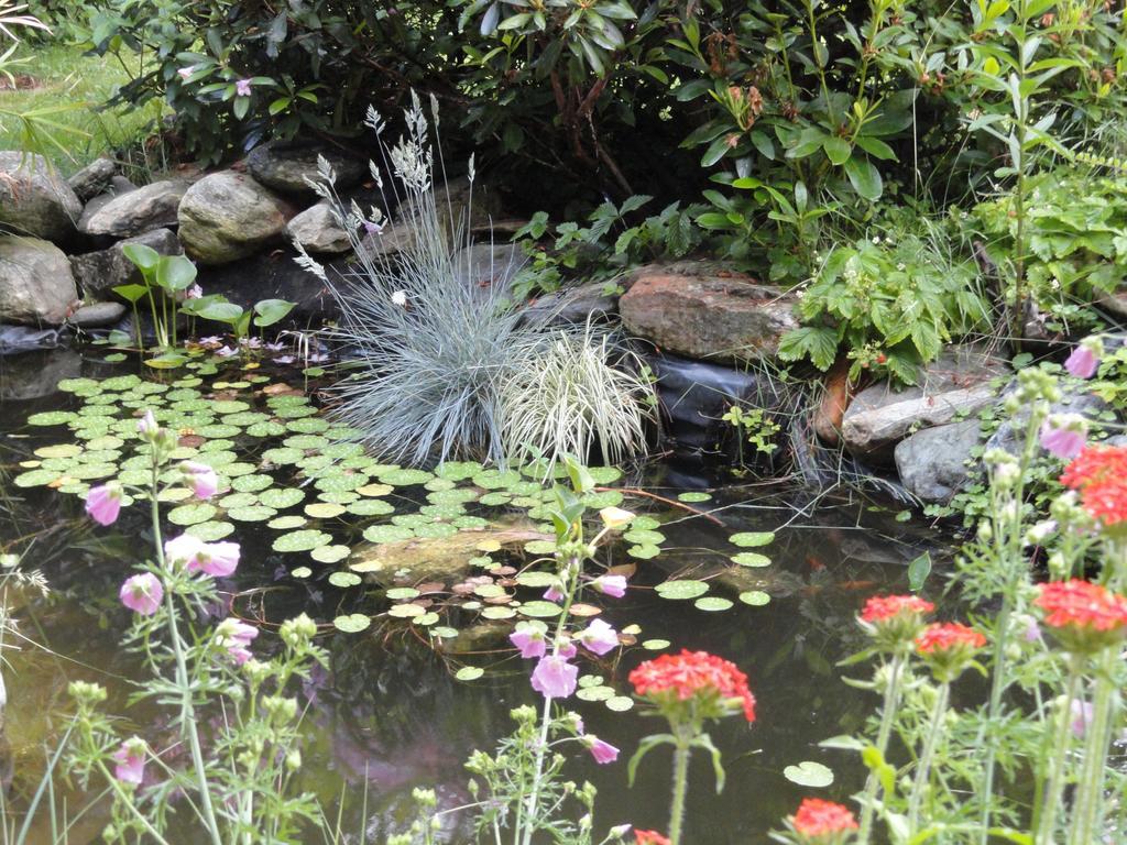 Ruhige Wohnung Mit Schoenem Eigengarten In Seeboden Am Millstaettersee Exterior photo